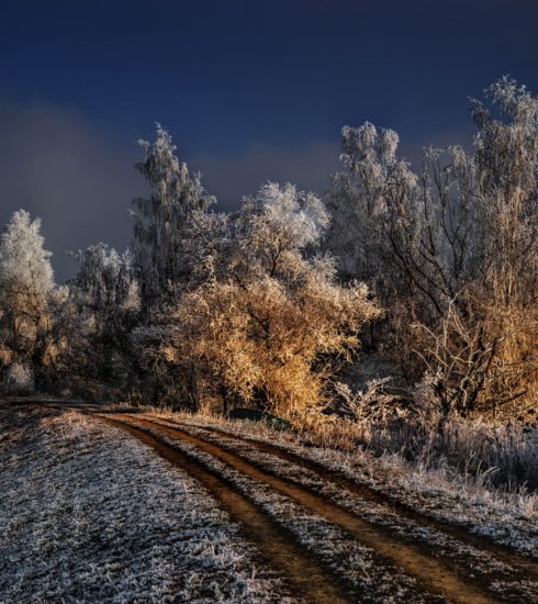 Landschaftsfotografie