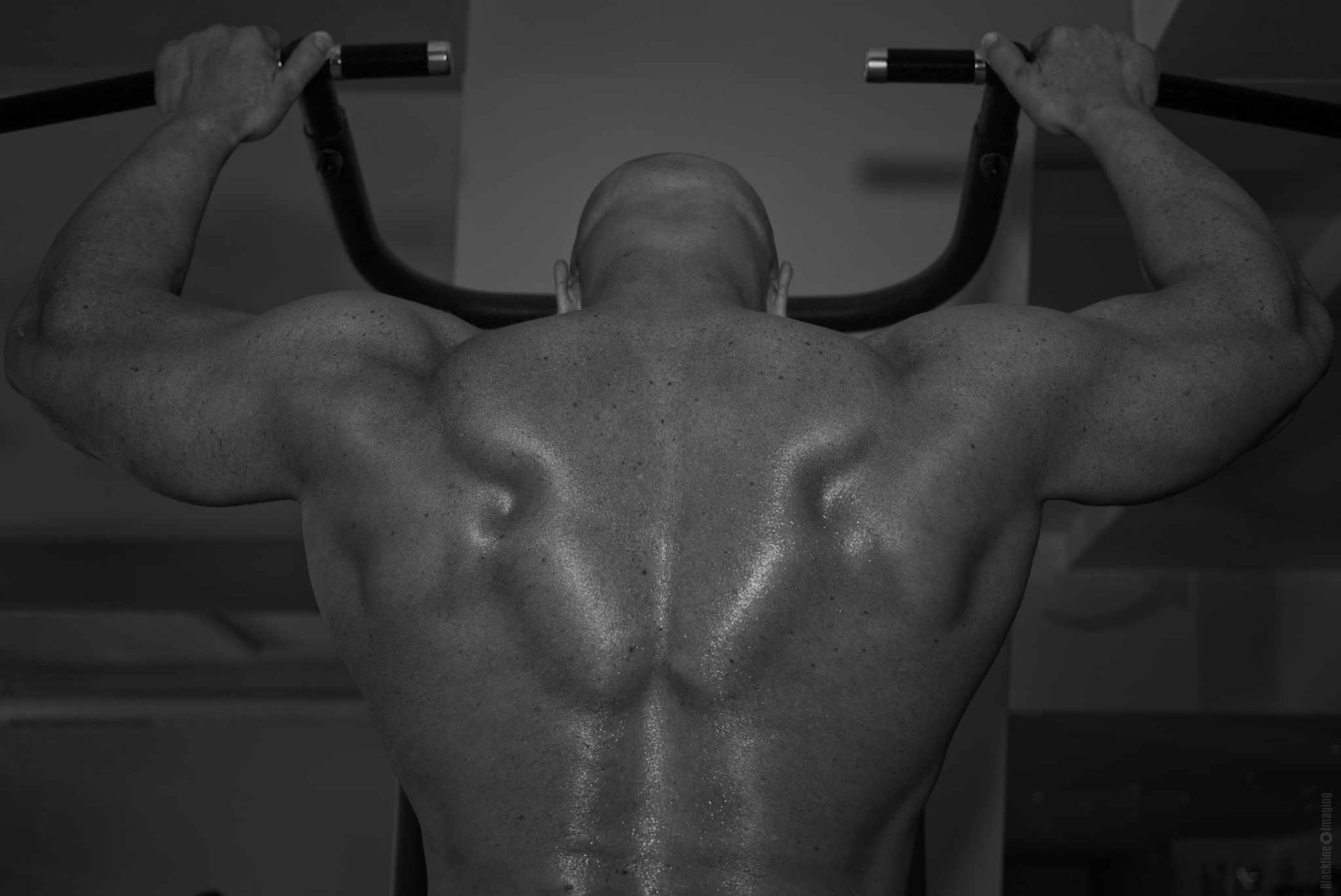 Mark Flexi - Bodybuilding